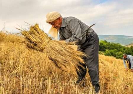 افتتاح ۴۶ طرح کشاورزی در آذربایجان شرقی