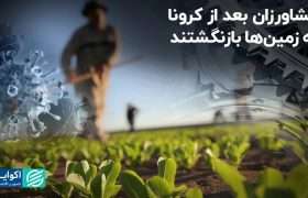 کشاورزان بعد از کرونا به زمین‌ها بازنگشتند