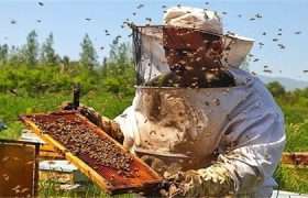 بناک دیزه ،دهستانی که در آن خبری از مهاجرت به شهر نیست