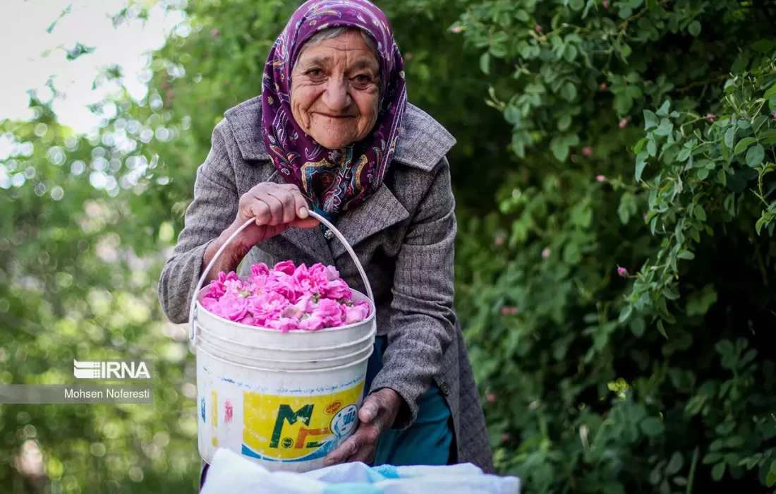 نیاز آینده ایران به شغل «مراقب سالمند»