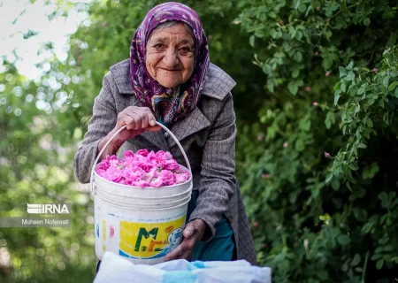 نیاز آینده ایران به شغل «مراقب سالمند»