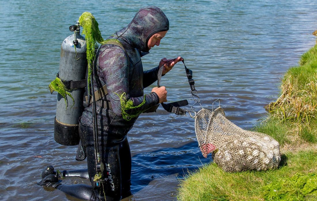 ۵ شغل عجیب و غریب در دنیا، از خوابیدن تا یافتن توپ گلف و تماشای خشک شدن رنگ!